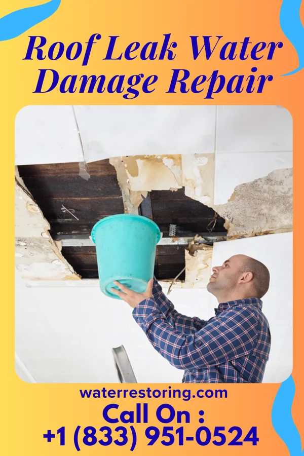 Roof Leak Water Damage Repair in Sugarloaf Village, CA